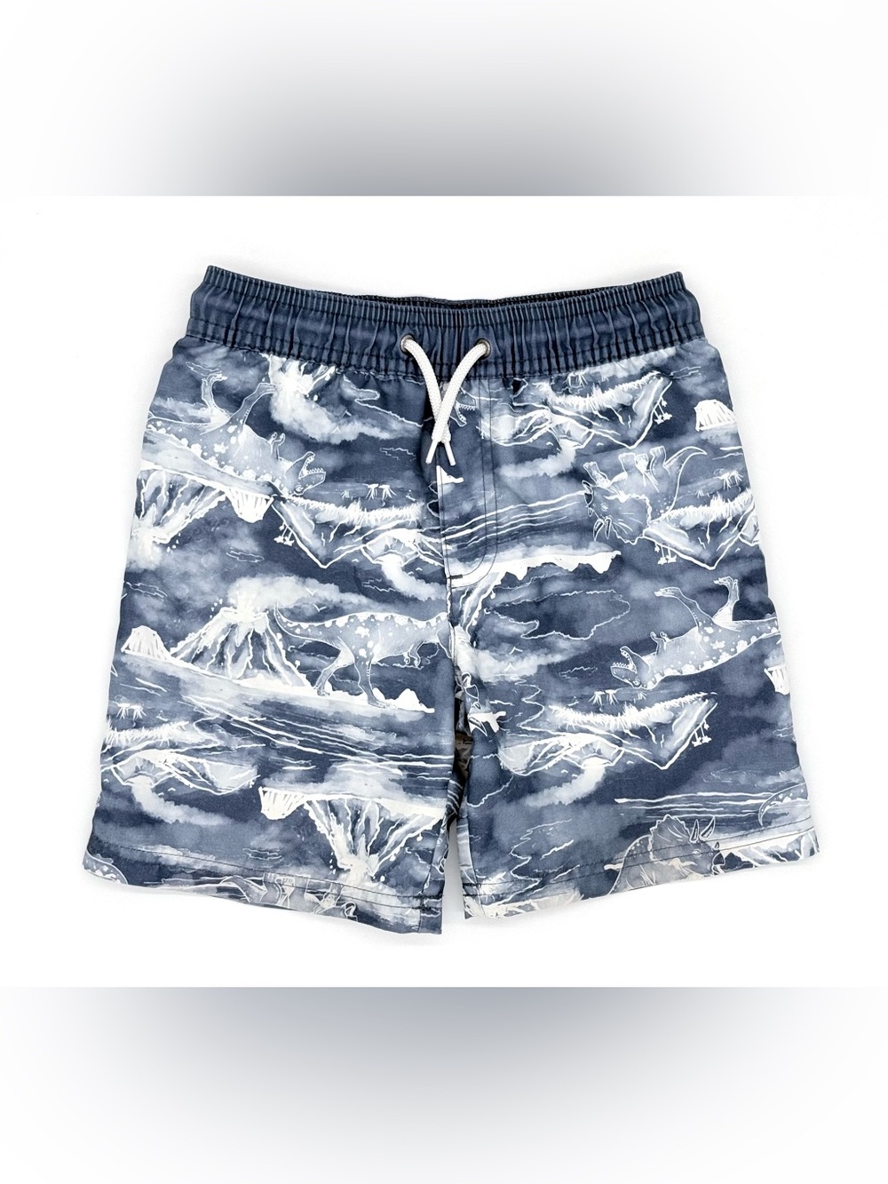 GUC OshKosh Toddler Boys Watercolor Dinosaur & Volcano Pattern Swim Trunks 4T